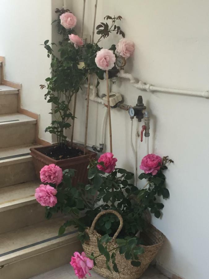 Villa La Quercia メタ エクステリア 写真