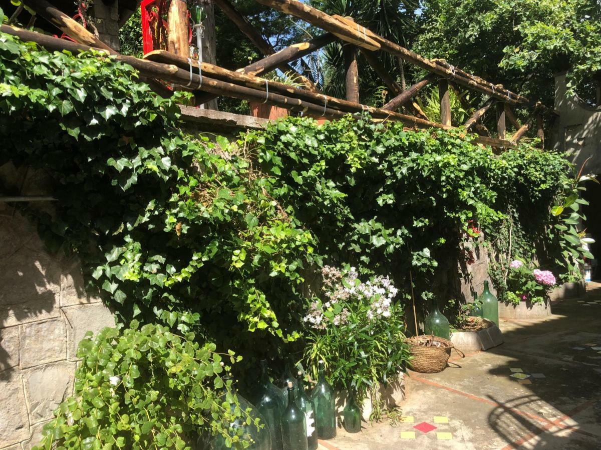 Villa La Quercia メタ エクステリア 写真
