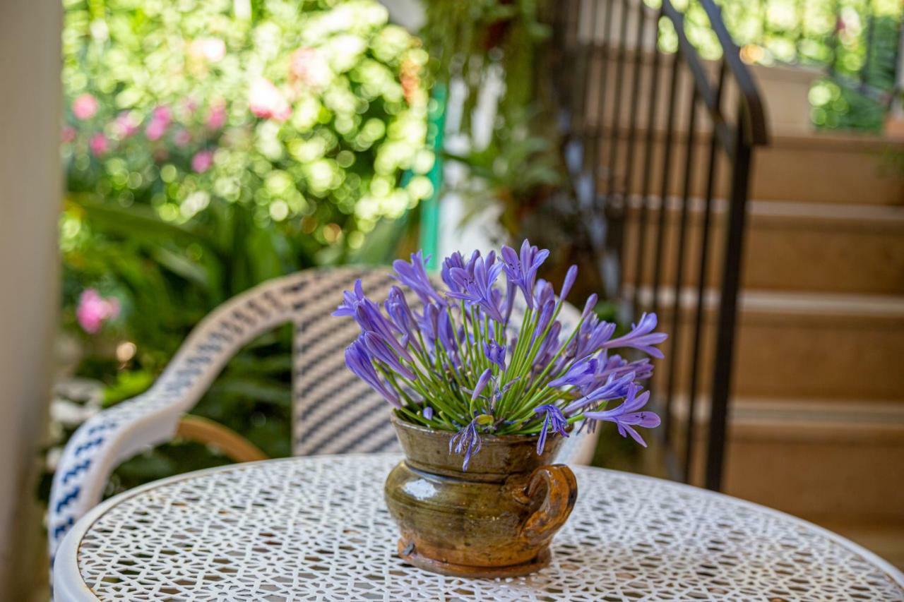Villa La Quercia メタ エクステリア 写真