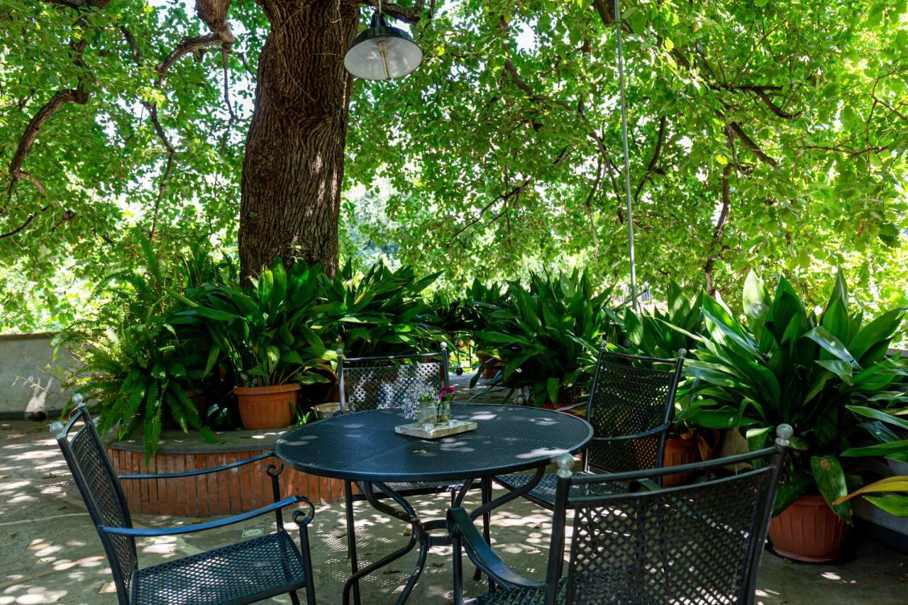 Villa La Quercia メタ エクステリア 写真