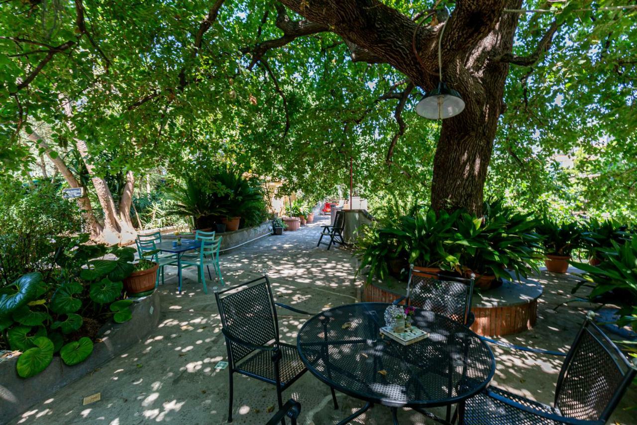 Villa La Quercia メタ エクステリア 写真