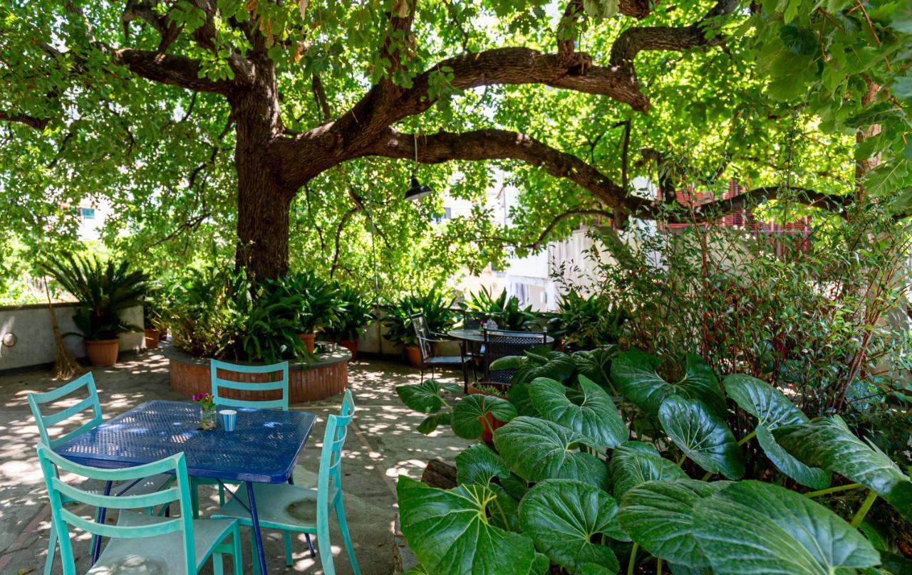 Villa La Quercia メタ エクステリア 写真
